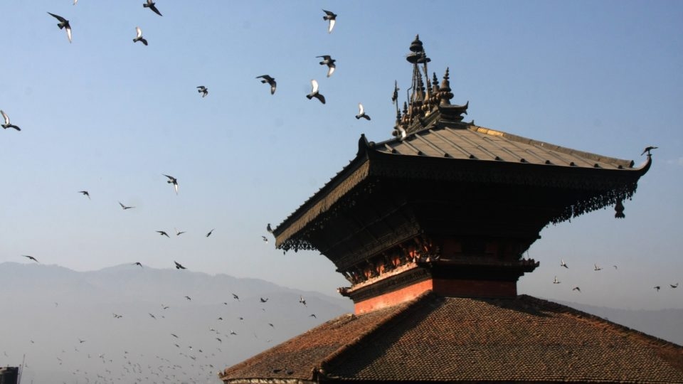 nepal_1  H x W: